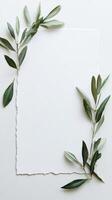 Decorative arrangement of olive leaves framing a blank sheet of textured paper on a light background photo