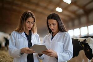 Two women engage in agricultural technology on a dairy farm while caring for cattle photo