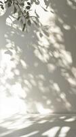 Natural light creates beautiful leaf shadows on a soft white wall indoors during daytime hours photo