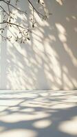 Natural light creates beautiful leaf shadows on a soft white wall indoors during daytime hours photo