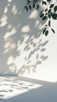 Natural light creates beautiful leaf shadows on a soft white wall indoors during daytime hours photo