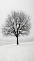 Tree stands alone in a snowy landscape under a foggy sky during winter season photo