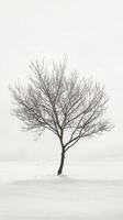 Tree stands alone in a snowy landscape under a foggy sky during winter season photo