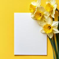 Bright yellow background with daffodils and blank sheet of paper for creative projects photo