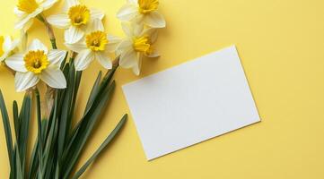 Bright daffodils arranged on a soft yellow background for cheerful spring decor photo