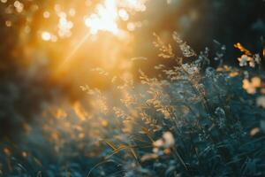 Bright and serene meadow with flowers on a sunny day in springtime photo