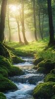 Tranquil forest landscape with a flowing stream and sunlight filtering through trees photo
