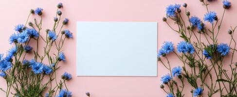Beautiful blue flowers surrounding a blank card on a soft pink background photo