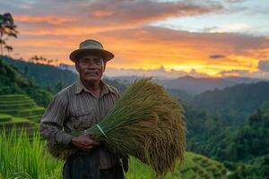 Worker collects rice harvest with mountains and sunset in the background of a rural field photo