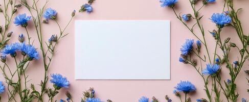 Beautiful blue flowers surrounding a blank card on a soft pink background photo