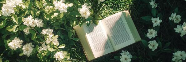 Open book resting in a garden surrounded by blooming white flowers on a sunny day photo