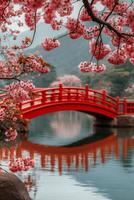 Cherry blossoms frame a tranquil pavilion by the lake in springtime photo