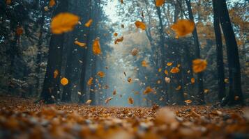 Colorful autumn leaves swirl in a tranquil forest setting during autumn photo