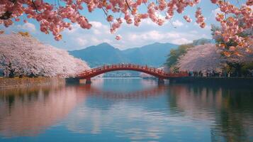 Cherry blossom trees surrounding a bright orange bridge over a tranquil pond in springtime photo