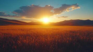 Golden wheat fields swaying in the warm sunset light during harvest season photo