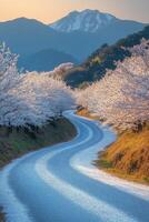 Cherry blossoms lining a winding road at sunset with mountains in the background photo