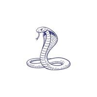 A cobra is drawn in a line drawing vector
