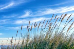 A blue sky with clouds photo