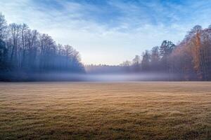 A field with trees and fog in the background photo