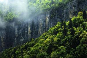A mountain with trees and fog in the background photo