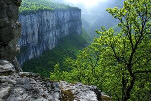 A view of the canyon from the top of a cliff photo