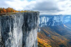 A cliff with a tree on top of it photo