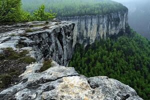 A view of a cliff with trees and a forest photo