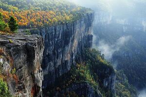 A view of the cliffs and trees in the mountains photo
