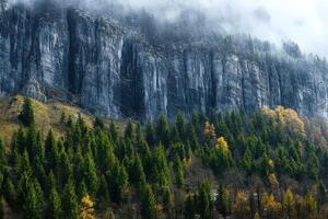 A mountain with trees and fog in the background photo