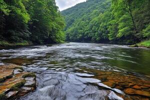 A river flowing through a forest with rocks and trees photo