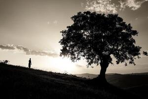 A man stands under a tree at sunset photo
