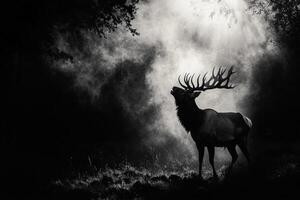 A black and white photo of a deer in the dark