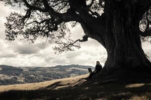 A woman sitting under a tree in a field photo