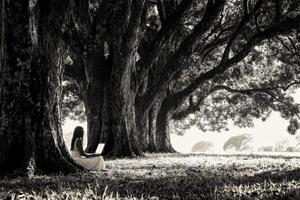 A woman sitting under a tree with a laptop photo