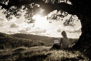 A woman sitting under a tree with a laptop photo