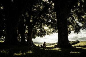 A woman sitting under a tree in the shade photo
