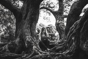 A woman sitting in a tree with a laptop photo