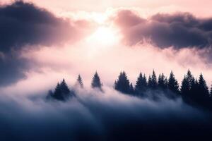 A beautiful sunset over a forest with trees photo