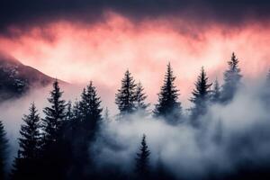 A forest with trees and fog in the background photo