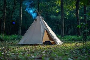 A teepee is sitting in the woods photo