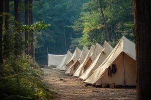 A row of tents in the woods photo