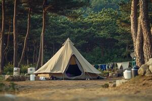 A tent is set up in the middle of a forest photo