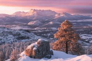 A snowy mountain landscape with trees and rocks photo