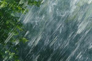 Rainy forest background with green leaves and water photo