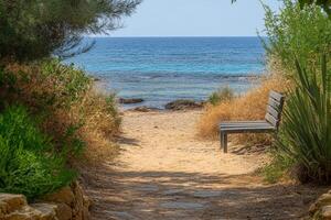 A bench sitting on a dirt path next to a beach photo