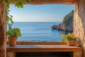 A window with a bench and a potted plant photo