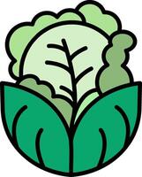 Cabbage Line Filled Icon vector