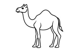 Simple Line Drawing of a Camel vector