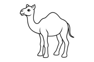 Simple black line drawing of a camel. vector