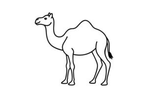 Cute black and white outline drawing of a camel. vector